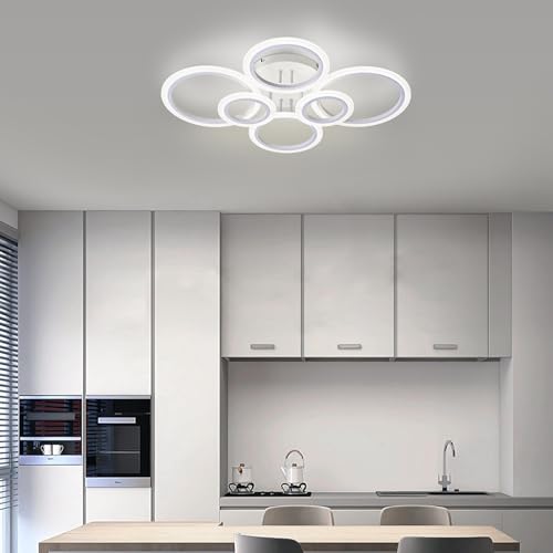 Modern LED Ceiling Light
