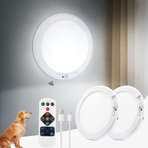 Rechargeable Ceiling Light (2 Count)