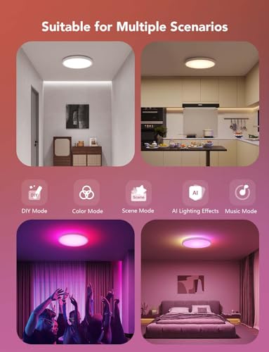 Smart Ceiling Light