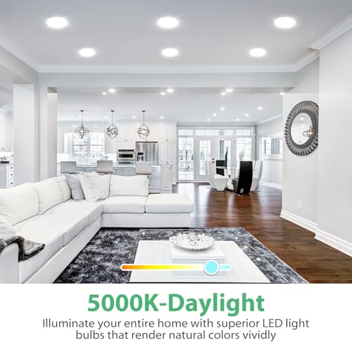 6 Pack BR30 LED Recessed Light Bulb (6 Count)
