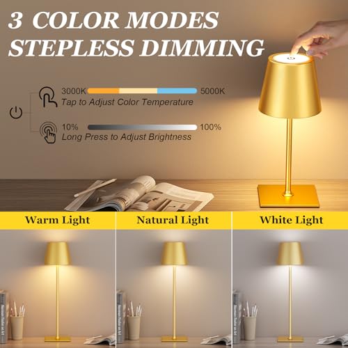 Gold Cordless Rechargeable Table Lamp 5000mAh Battery Operated Lamps (2 Count)