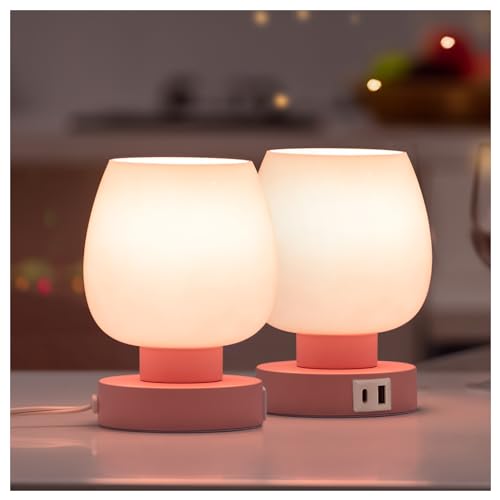 Pink Touch Table Lamp with USB Charging (2 Count)
