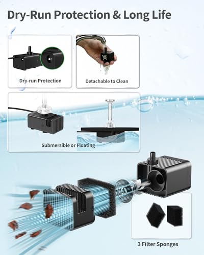 Solar Fountain Pump