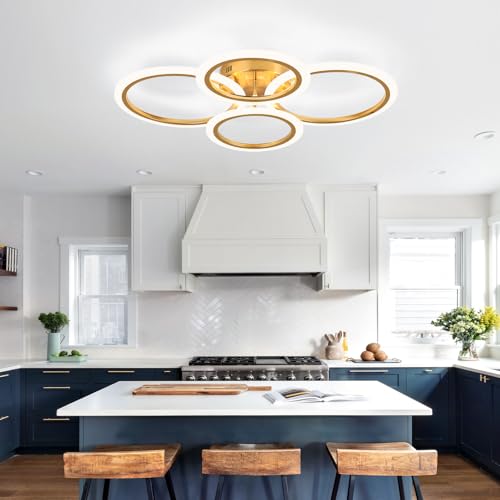 Modern LED Ceiling Light