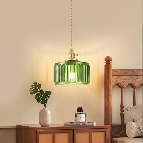 Plug in Pendant Light