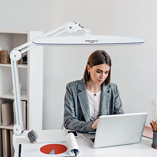 Task Lamp with Clamp