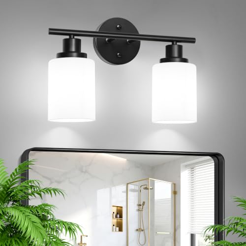 2 Light Bathroom Light Fixtures