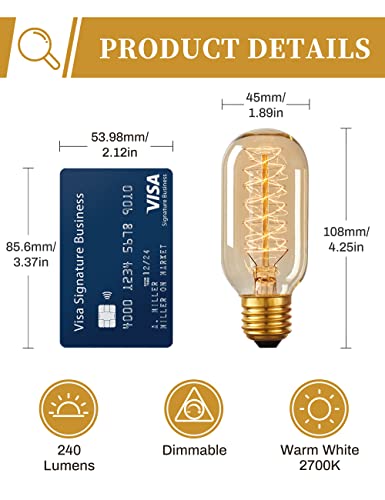 Edison Bulbs Light Bulbs (4 Count)