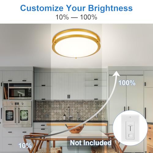 DLLT Flush Mount LED Ceiling Light