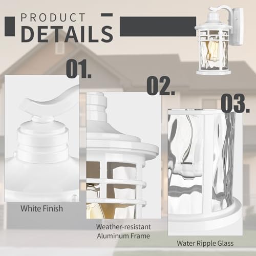 Outdoor Wall Light Fixture