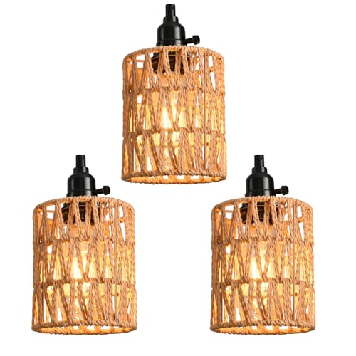3 Light Hanging Light with Plug in Cord