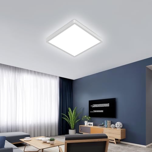 12 inch Flush Mount LED Ceiling Light Fixture (6 Count)