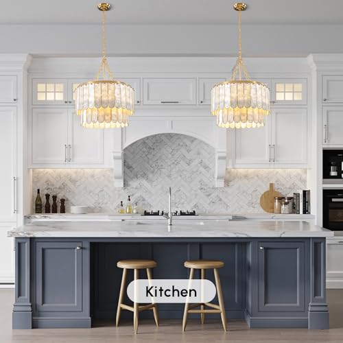Modern 5 Light Shell Chandelier