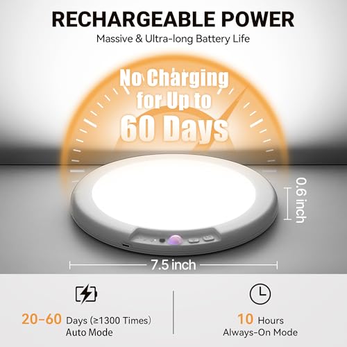 Wireless Rechargeable Ceiling Light