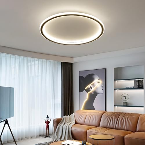 23.6 Inch Flush Mount Ceiling Light