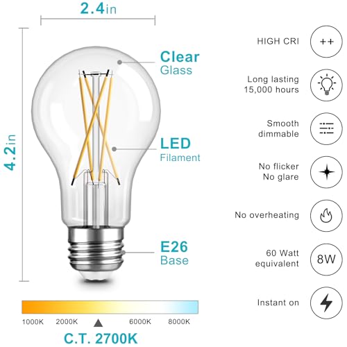 A19 LED Edison Light Bulb (12 Count)