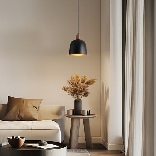 67000193 1 Light Pendant Lighting