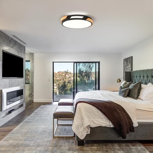 Modern LED Ceiling Light