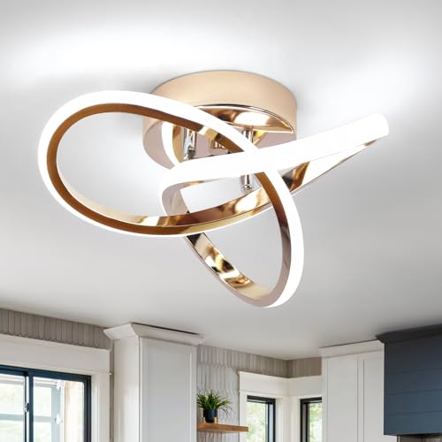 Modern LED Ceiling Light