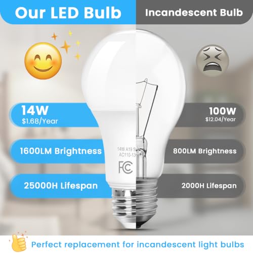 A19 LED Bulbs (4 Count)