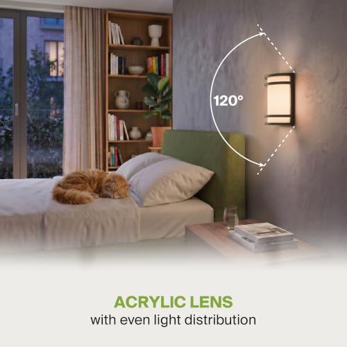 Indoor LED Wall Sconce Lights