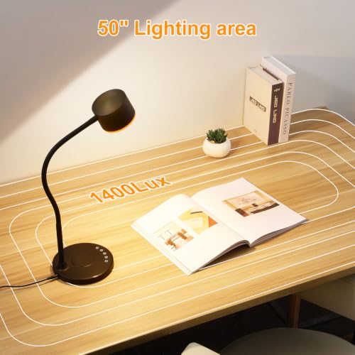 Desk lamp with 2 USB Charging Ports