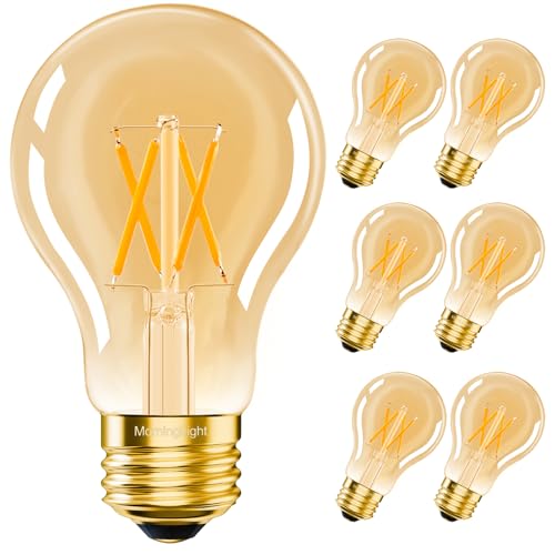 Dimmable A19 Vintage LED Edison Bulbs 60W (6 Count)