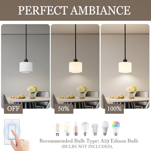 Black Pendant Lights Kitchen Island 2 Pack (2 Count)