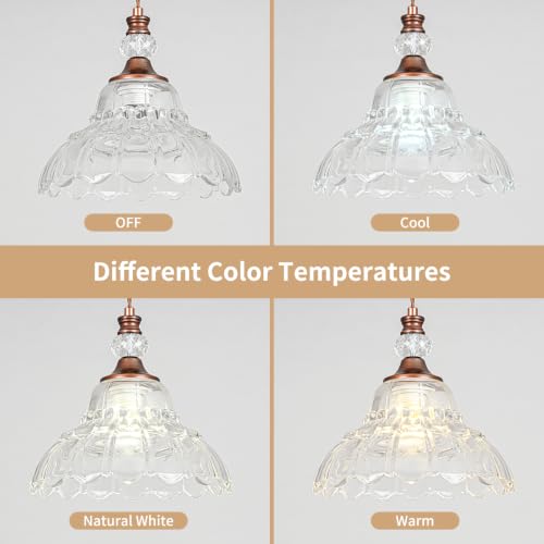 1 Piece Vintage Chandelier in Antique Red Bronze Finish with Flower (1-Light / Antique Red Bronze)
