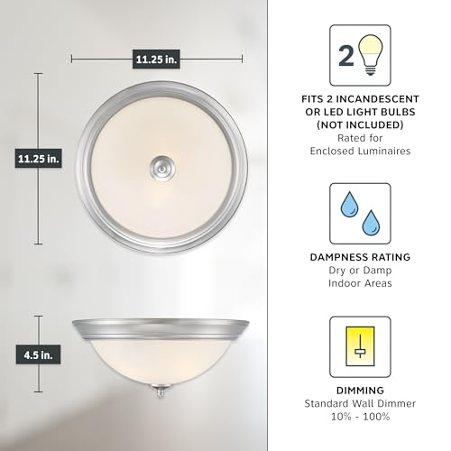 Flush Mount Ceiling Light (2 Count)