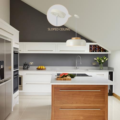 Modern Large Pendant Light