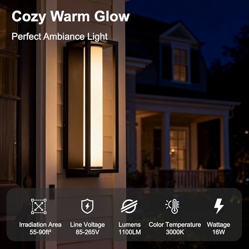 Outdoor Wall Sconce Mounted