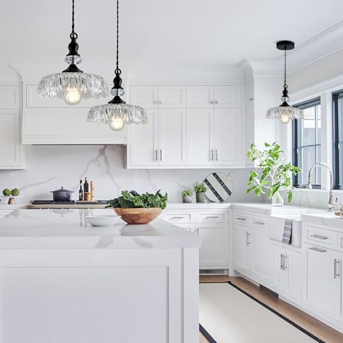 Vintage Glass Pendant Light Fixture Black Modern Adjustable Chandelier Hanging Light for Farmhouse Dining Room Kitchen Bedroom Hallway Island