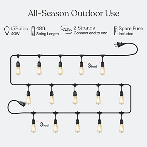 Ambience Pro Incandescent Outdoor String Lights (48 Foot)