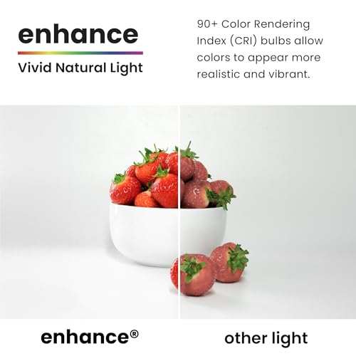 A19 100W Equivalent LED Light Bulbs (6 Count)