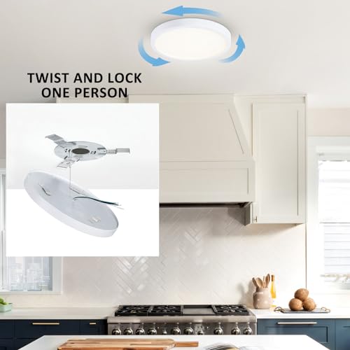 10 Inch LED Flush Mount Ceiling Light (2 Count)