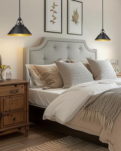 Barn Pendant Light Fixture
