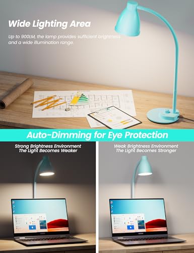 LED Desk Lamp with USB Charging Port