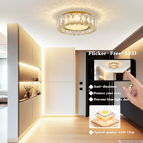 Dimmable Crystal Flush Mount Ceiling Light