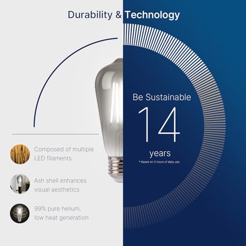 LED Edison Bulbs (12 Count)