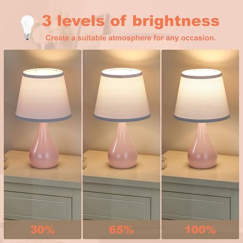 17.3'' Modern Touch Pink Table Lamp Set of 2 with 3 Way Dimmable (2 Count)