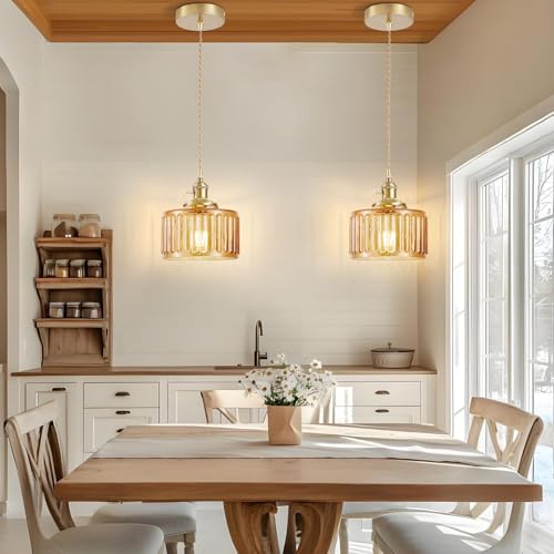 2 Pack Industrial Pendant Lighting (2 Count)