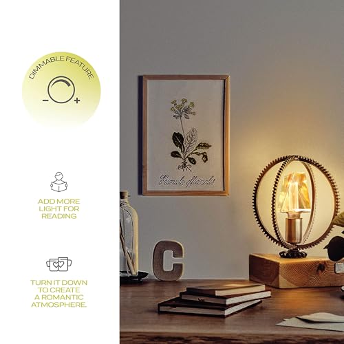 Decorative Light Bulb ICE Style Shaped E26 Edison Bulb Medium Base (3 Count)