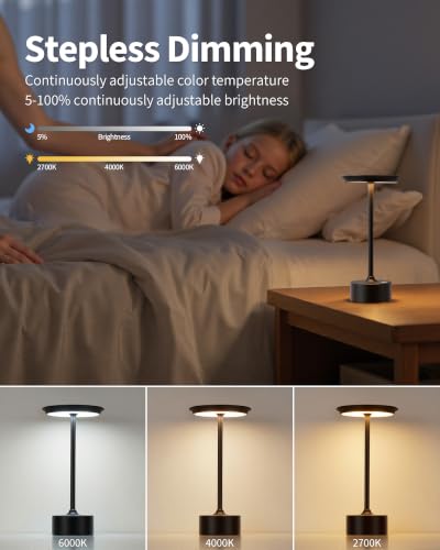 Rechargeable Table Lamps Set of 2 (2 Count)