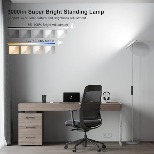 Floor Lamps for Living Room