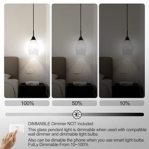 Mini Glass Pendant Light