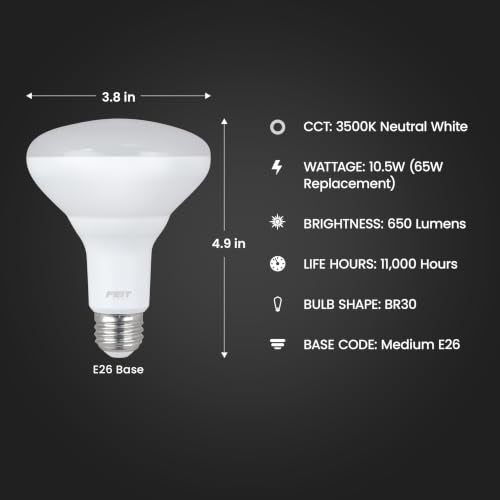 BR30 LED Flood Light Bulb (2 Count)