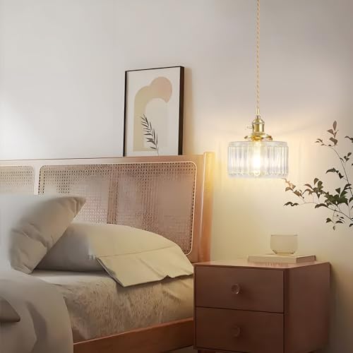 Plug in Pendant Light