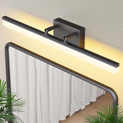 Black Vanity Light 24"