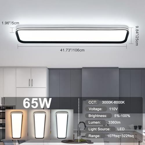 Modern LED Ceiling Light